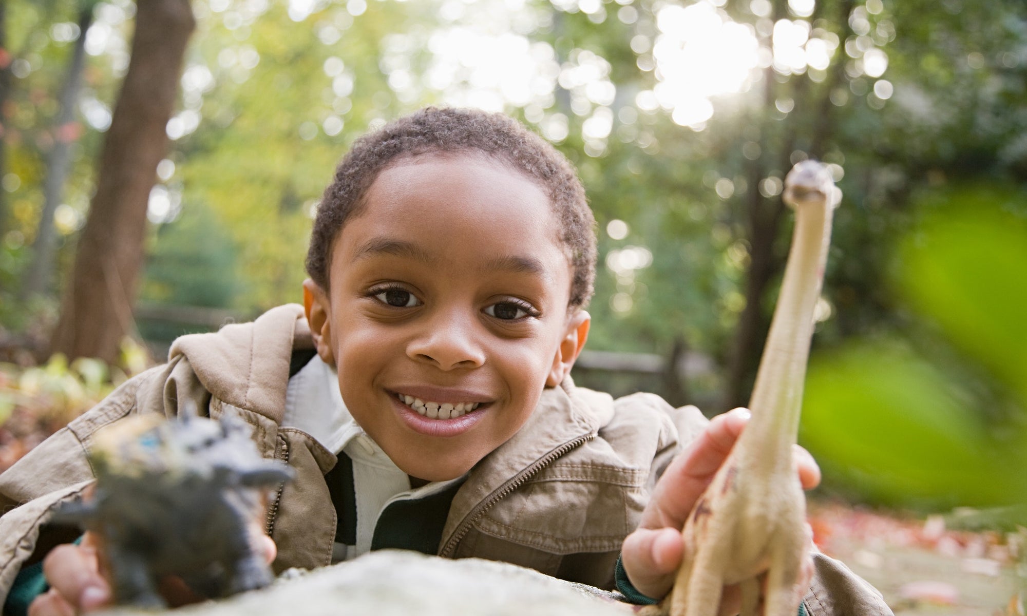 Boy playing with toy dinosaurs