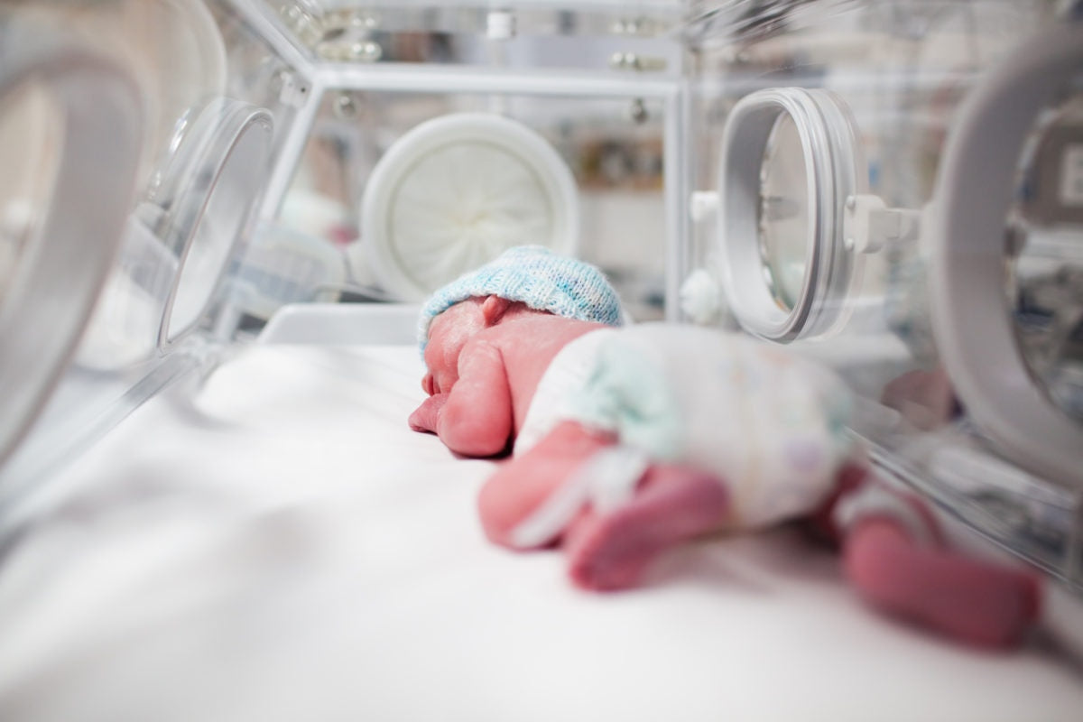 new born baby in the hospital incubator