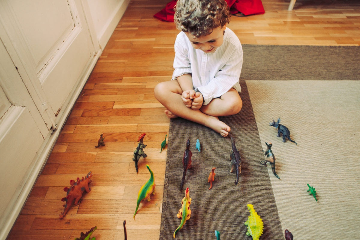 boy playing with his dinosaur plastic toys