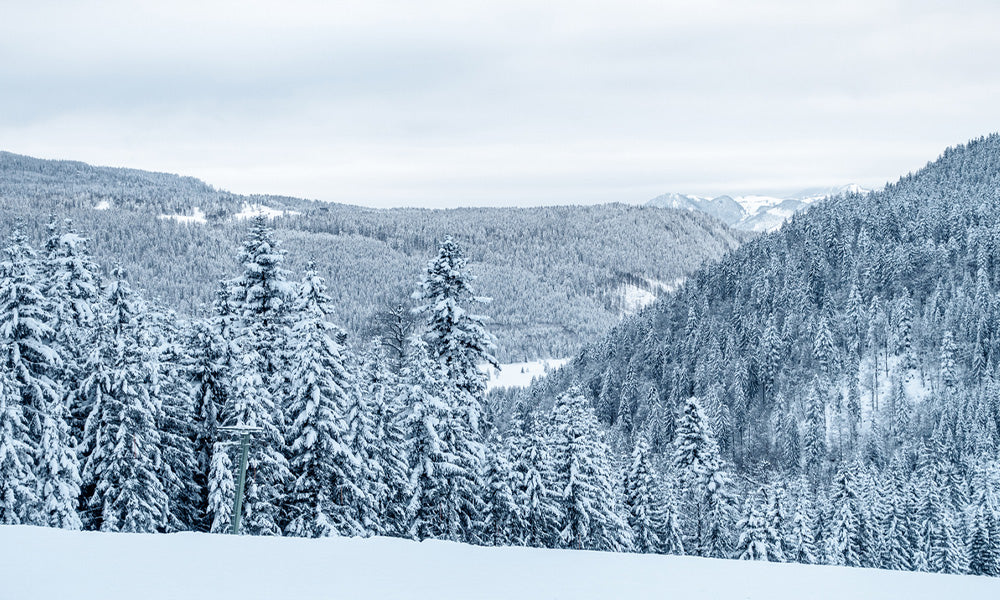 winter