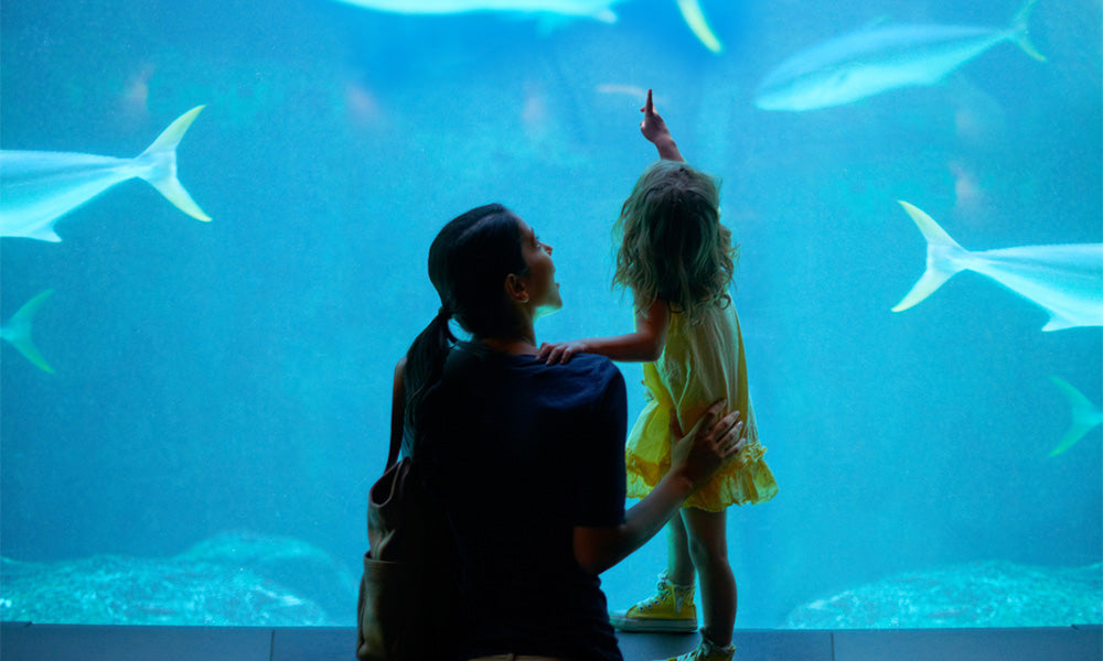 young girl at aquarium